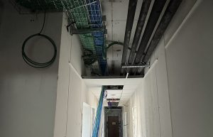 IMG 2033 copy